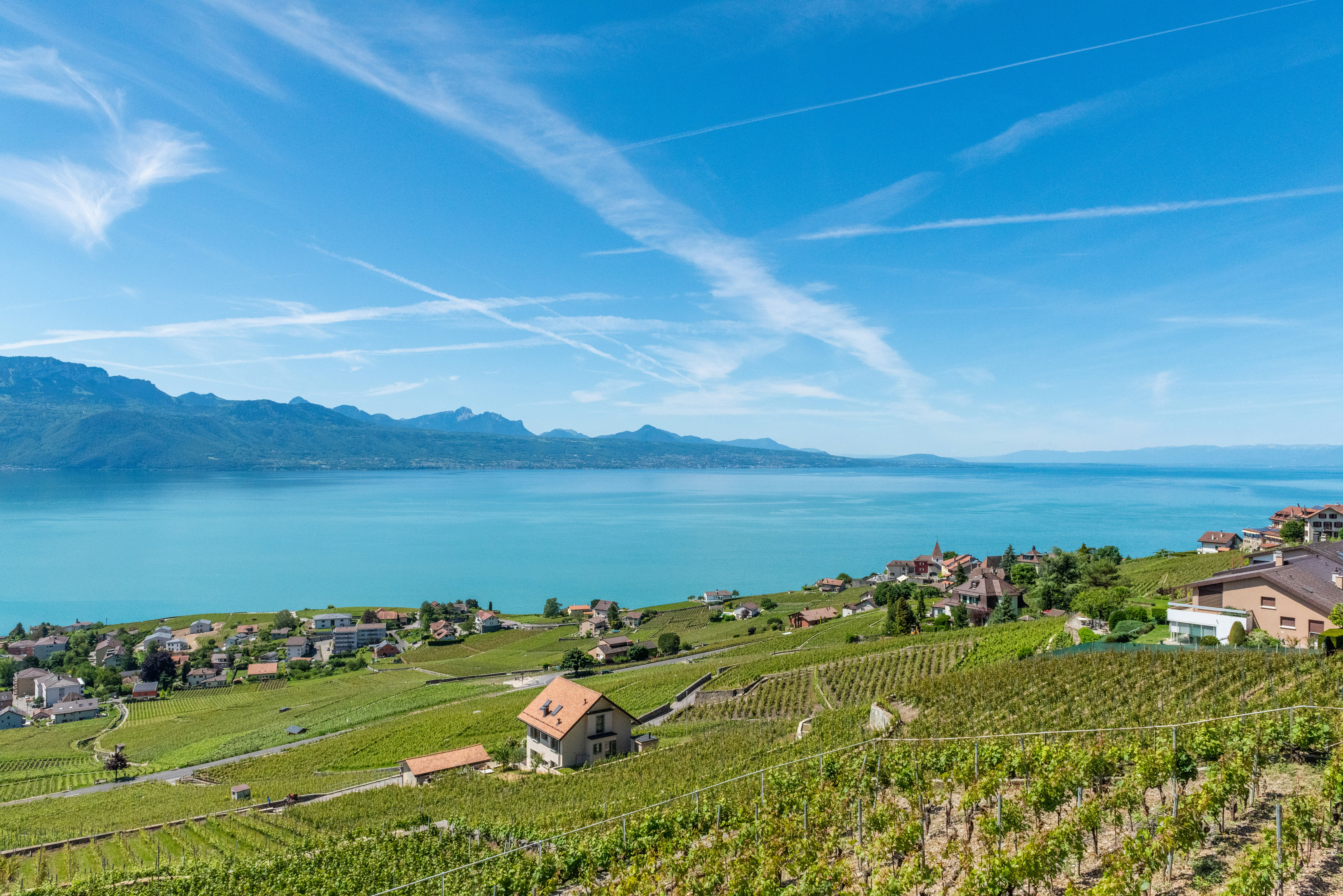 Lausanne